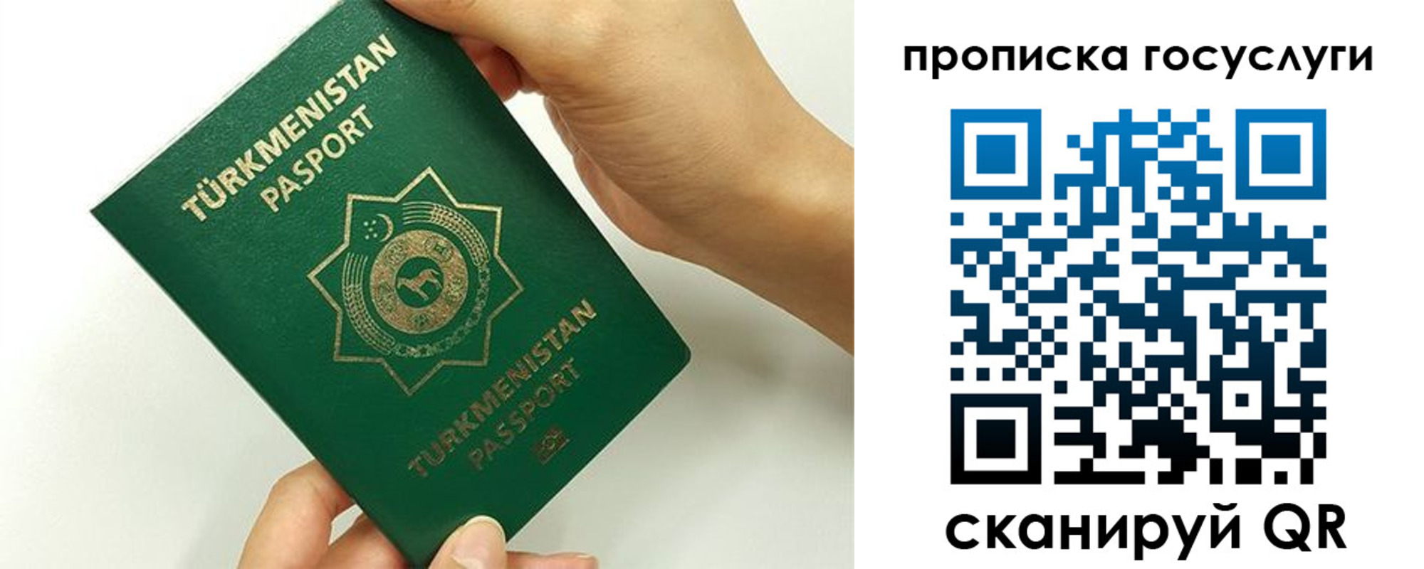 временная регистрация собственник в Мончегорске