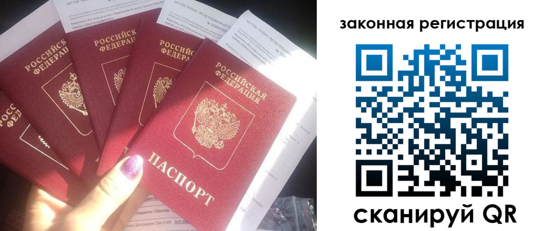 временная регистрация гарантия в Мончегорске