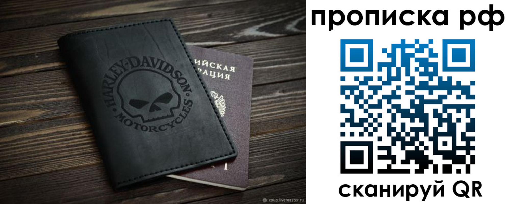 прописка от собственника в Мончегорске
